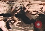 Standbild strafing von target Deutschland, 1945, aus Sekunde 35 historischem Filmmaterial Videoclip 65675076636