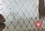 Image of US Army soldiers cross Rhine through smoke screen Germany, 1945, second 59 stock footage video 65675076641