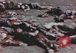 Image soldats des États-Unis Allemagne, 1945, de la seconde 49 séquences d'archives historiques vidéo 65675076647