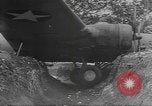 Image B-17E Flying Fortress Guadalcanal Îles Salomon, 1943, de la seconde 12 séquences d'archives historiques vidéo 65675076648