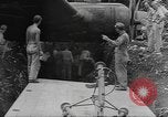 Image B-17E Flying Fortress Guadalcanal Îles Salomon, 1943, de la seconde 33 séquences d'archives historiques vidéo 65675076648
