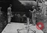 Image B-17E Flying Fortress Guadalcanal Îles Salomon, 1943, de la seconde 34 séquences d'archives historiques vidéo 65675076648
