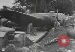 Image B-17E Flying Fortress Guadalcanal Îles Salomon, 1943, de la seconde 41 séquences d'archives historiques vidéo 65675076648
