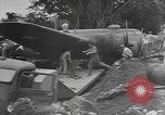 Image B-17E Flying Fortress Guadalcanal Îles Salomon, 1943, de la seconde 42 séquences d'archives historiques vidéo 65675076648
