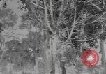 Standbild American Gunners Guadalcanal Salomonen, 1943, aus Sekunde 31 historischem Filmmaterial Videoclip 65675076650