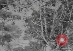 Standbild American Gunners Guadalcanal Salomonen, 1943, aus Sekunde 32 historischem Filmmaterial Videoclip 65675076650