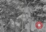 Standbild American Gunners Guadalcanal Salomonen, 1943, aus Sekunde 35 historischem Filmmaterial Videoclip 65675076650