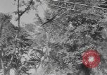 Standbild American Gunners Guadalcanal Salomonen, 1943, aus Sekunde 40 historischem Filmmaterial Videoclip 65675076650
