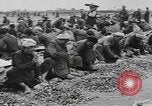 Standbild chinesische Arbeitskräfte China, 1943, aus Sekunde 12 historischem Filmmaterial Videoclip 65675076651
