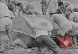 Standbild chinesische Arbeitskräfte China, 1943, aus Sekunde 17 historischem Filmmaterial Videoclip 65675076651