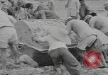 Standbild chinesische Arbeitskräfte China, 1943, aus Sekunde 19 historischem Filmmaterial Videoclip 65675076651