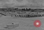 Standbild chinesische Arbeitskräfte China, 1943, aus Sekunde 46 historischem Filmmaterial Videoclip 65675076651