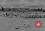 Standbild chinesische Arbeitskräfte China, 1943, aus Sekunde 49 historischem Filmmaterial Videoclip 65675076651