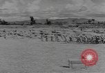Standbild chinesische Arbeitskräfte China, 1943, aus Sekunde 51 historischem Filmmaterial Videoclip 65675076651