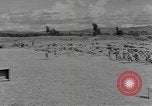 Standbild chinesische Arbeitskräfte China, 1943, aus Sekunde 53 historischem Filmmaterial Videoclip 65675076651