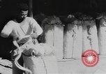 Standbild Bambus Container Birma, 1943, aus Sekunde 51 historischem Filmmaterial Videoclip 65675076652