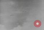 Image soldats des États-Unis l'île verte des îles Salomon., 1944, de la seconde 42 séquences d'archives historiques vidéo 65675076655