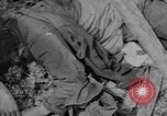 Immagine di Soldati statunitensi Isole Salomone, 1944, secondo 55 filmato di repertorio 65675076656