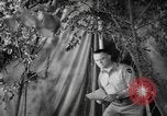 Image Centre de services de l'air Théâtre du pacifique, 1944, de la seconde 60 séquences d'archives historiques vidéo 65675076665