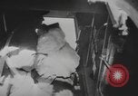 Standbild Air Service Center Base Operations Zweiten Weltkrieg Pacific Theater, 1944, aus Sekunde 7 historischem Filmmaterial Videoclip 65675076666