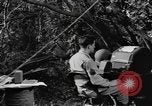 Standbild Air Service Center Base Operations Zweiten Weltkrieg Pacific Theater, 1944, aus Sekunde 55 historischem Filmmaterial Videoclip 65675076666