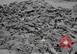 Image of shoe reclamation activities World War 2 European Theater, 1945, second 11 stock footage video 65675076667