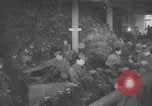 Image of shoe reclamation activities World War 2 European Theater, 1945, second 13 stock footage video 65675076667