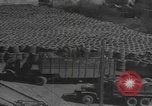 Standbild Reklamation Aktivitäten Zweiten Weltkrieg Europäische Theater, 1945, aus Sekunde 3 historischem Filmmaterial Videoclip 65675076668