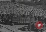 Standbild Reklamation Aktivitäten Zweiten Weltkrieg Europäische Theater, 1945, aus Sekunde 8 historischem Filmmaterial Videoclip 65675076668