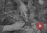 Standbild Reklamation Aktivitäten Zweiten Weltkrieg Europäische Theater, 1945, aus Sekunde 55 historischem Filmmaterial Videoclip 65675076668