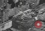 Image of reclamation activities European Theater, 1945, second 12 stock footage video 65675076671