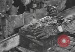 Image of reclamation activities European Theater, 1945, second 13 stock footage video 65675076671