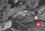 Image of reclamation activities European Theater, 1945, second 15 stock footage video 65675076671