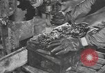 Image of reclamation activities European Theater, 1945, second 16 stock footage video 65675076671