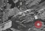 Image of reclamation activities European Theater, 1945, second 17 stock footage video 65675076671