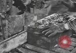 Image of reclamation activities European Theater, 1945, second 18 stock footage video 65675076671