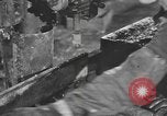 Image of reclamation activities European Theater, 1945, second 19 stock footage video 65675076671