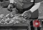 Image of reclamation activities European Theater, 1945, second 24 stock footage video 65675076671