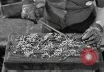 Image of reclamation activities European Theater, 1945, second 25 stock footage video 65675076671