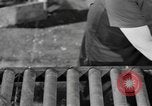 Image of reclamation activities European Theater, 1945, second 45 stock footage video 65675076671