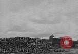 Standbild Reklamation Aktivitäten europäische Theater, 1945, aus Sekunde 32 historischem Filmmaterial Videoclip 65675076672