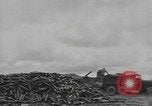 Standbild Reklamation Aktivitäten europäische Theater, 1945, aus Sekunde 33 historischem Filmmaterial Videoclip 65675076672