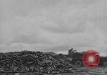 Standbild Reklamation Aktivitäten europäische Theater, 1945, aus Sekunde 34 historischem Filmmaterial Videoclip 65675076672