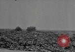 Standbild Reklamation Aktivitäten europäische Theater, 1945, aus Sekunde 42 historischem Filmmaterial Videoclip 65675076672