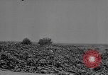 Standbild Reklamation Aktivitäten europäische Theater, 1945, aus Sekunde 43 historischem Filmmaterial Videoclip 65675076672