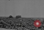 Standbild Reklamation Aktivitäten europäische Theater, 1945, aus Sekunde 44 historischem Filmmaterial Videoclip 65675076672