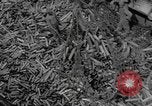 Standbild Reklamation Aktivitäten europäische Theater, 1945, aus Sekunde 57 historischem Filmmaterial Videoclip 65675076672