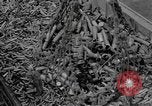 Standbild Reklamation Aktivitäten europäische Theater, 1945, aus Sekunde 60 historischem Filmmaterial Videoclip 65675076672