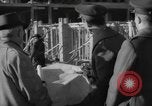 Image of army building United States USA, 1942, second 54 stock footage video 65675076678
