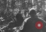 Image of German soldiers capture American soldiers after attacking tanks Western Front European Theater, 1944, second 21 stock footage video 65675076702